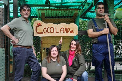 cocoland
