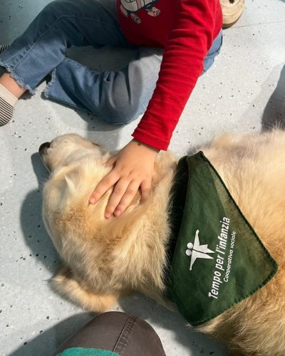 pet-1